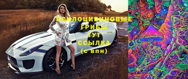 наркотики Горно-Алтайск