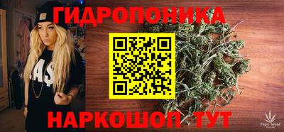 spice Волжск