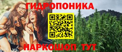 спиды Аргун