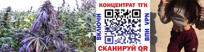 Дистиллят ТГК гашишное масло  наркошоп  Дедовск 