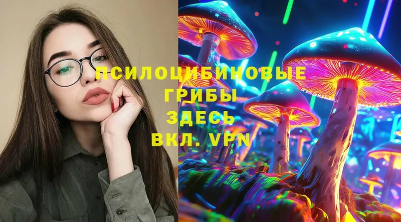 ссылка на мегу сайт  Дедовск  Псилоцибиновые грибы Psilocybe 