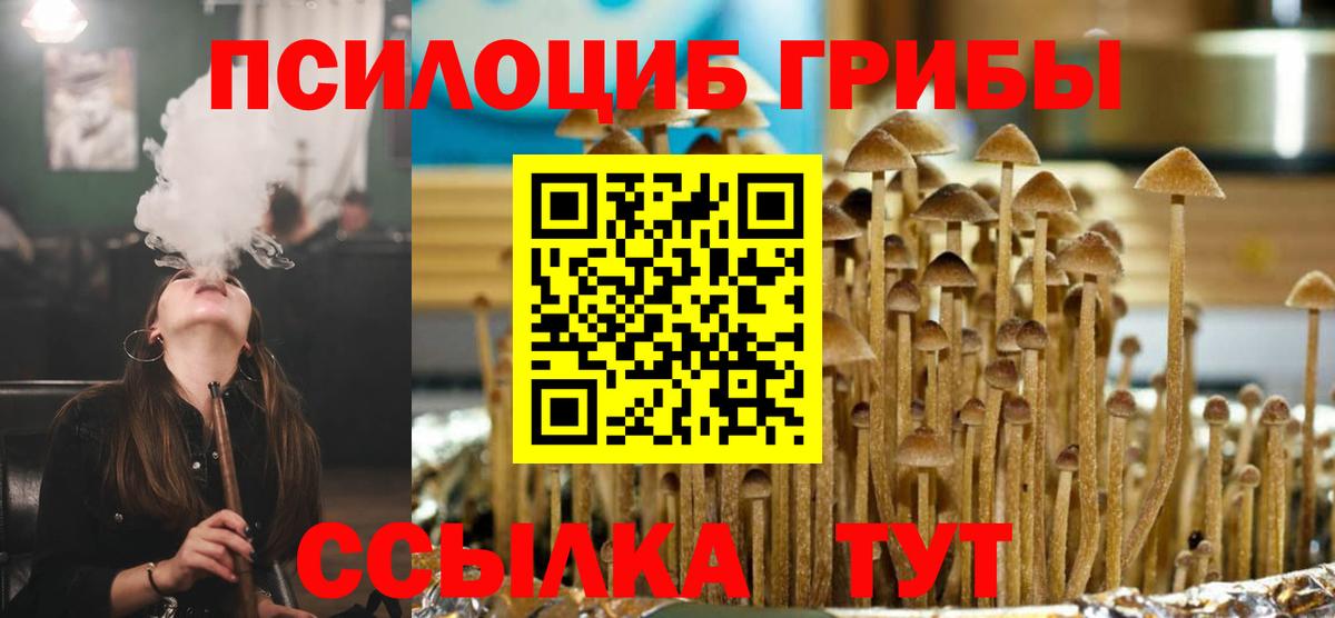 Галлюциногенные грибы GOLDEN TEACHER  Вход с VPN  Псилоцибиновые грибы GOLDEN TEACHER  Дедовск 